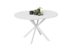 Стол обеденный раздвижной «Мэдисон» Тип 1 Белый, ТриЯ